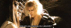 David Bowie GIF. Beroemdheden Artiesten Gifs David bowie Jazzin voor blauwe jean Schreeuwen lord byron Screamin lord b 