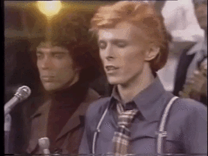 David Bowie GIF. Beroemdheden Artiesten Film Gifs David bowie &amp;#39;70 De man die naar de aarde viel Thomas newton 