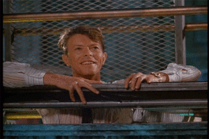 David Bowie GIF. Muziek Artiesten Ik hou van jou Gifs David bowie 