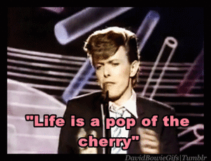 David Bowie GIF. Artiesten Gifs David bowie Geschokt Verwonderd Zoolander 