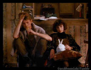 David Bowie GIF. Beroemdheden Artiesten Film Gifs David bowie &amp;#39;70 De man die naar de aarde viel Thomas newton 