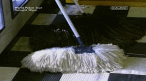 Honden GIF. Dieren Gifs Hond Mopshond 
