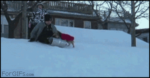 Honden GIF. Dieren Voedsel Gifs Hond Gluiperig 