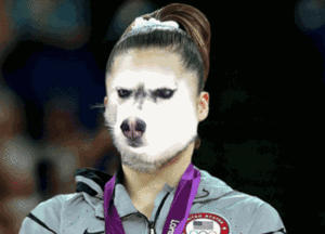 Honden GIF. Dieren Puppy Gifs Hond 
