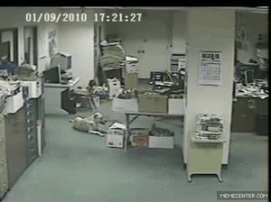 Honden GIF. Dieren Kat Gifs Hond Katje 