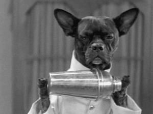 Honden GIF. Dieren Puppy Gifs Hond Hees 
