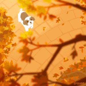 Honden GIF. Dieren Schattig Puppy Gifs Hond 