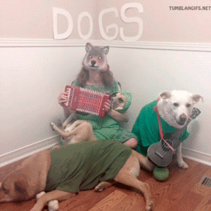 Honden GIF. Dieren Gifs Hond Vreemd 