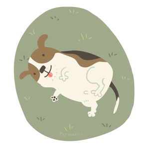 Honden GIF. Dieren Jongen Gifs Hond 