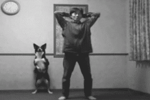Honden GIF. Dieren Schattig Gifs Hond Opgewonden 