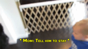 Honden GIF. Dieren Puppy Gifs Hond 
