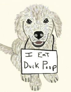 Honden GIF. Dieren Gifs Hond Vrolijkheid 