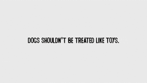Honden GIF. Dieren Sneeuw Gifs Hond Staart Kwispelen 