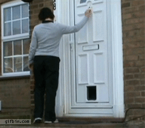 Honden GIF. Dieren Gifs Hond Deur Klop 