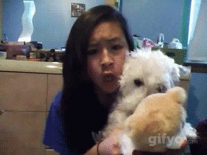 Honden GIF. Dieren Gifs Hond Trucs 