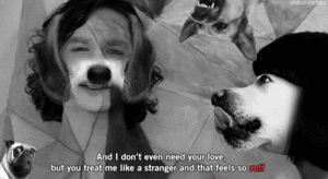 Honden GIF. Dieren Grappig Schattig Gifs Hond Lopend 