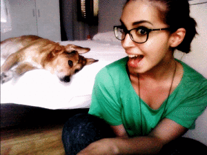 Honden GIF. Dieren Gifs Hond Deur Klop 