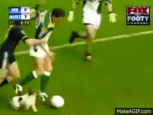 Honden GIF. Dieren Gifs Hond 