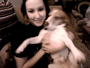 Honden GIF. Dieren Schattig Puppy Gifs Hond 