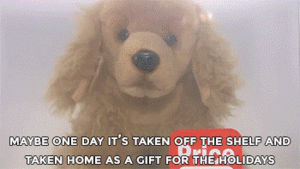 Honden GIF. Dieren Gifs Hond Kind Tand Trekt 