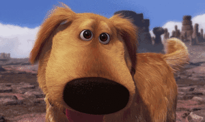 Honden GIF. Dieren Puppy Gifs Hond 