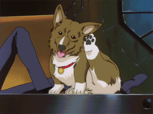Honden GIF. Dieren Gifs Hond 