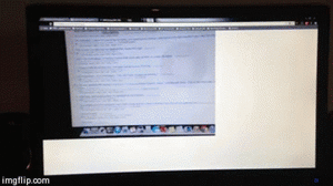 Honden GIF. Dieren Computer Gifs Hond Kijken 