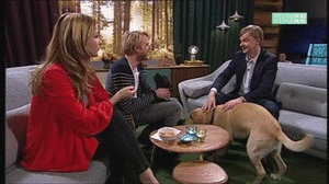 Honden GIF. Dieren Gifs Hond Mislukken Geslacht 