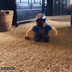 Honden GIF. Dieren Gifs Hond De+mens 