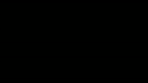 Honden GIF. Dieren Gifs Hond Zeeschildpad 