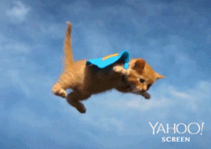 Baby GIF. Dieren Baby Gifs Hond Wandelaar 