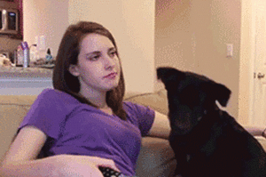 Honden GIF. Dieren Gifs Hond Spiegel Schroef 
