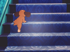 Honden GIF. Dieren Gifs Hond Wat Geschokt 