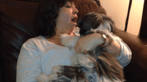 Honden GIF. Dieren Gifs Hond Doge Stoppen 