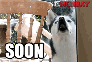 Honden GIF. Dieren Gifs Hond Het+eten 