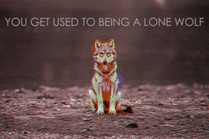 Honden GIF. Dieren Puppy Gifs Hond Hees 