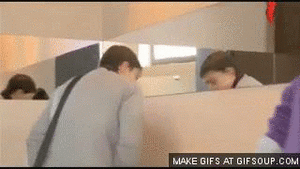 Honden GIF. Dieren Zwemmen Gifs Hond Teckel 