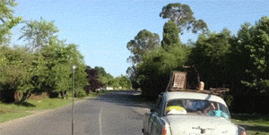 Honden GIF. Dieren Basketbal Gifs Hond 