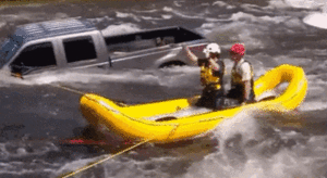 Honden GIF. Dieren Gifs Hond Mislukken Frisbee Halen 