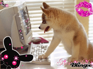 Honden GIF. Dieren Puppy Gifs Hond 
