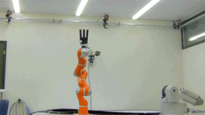Honden GIF. Dieren Basketbal Gifs Hond 