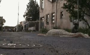 Honden GIF. Dieren Puppy Gifs Hond Pitbull 