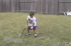 Honden GIF. Dieren Gifs Hond Overwinning Surfing 