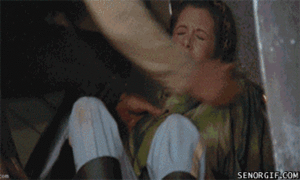 Honden GIF. Dieren Grappig Gifs Hond Mopshond 