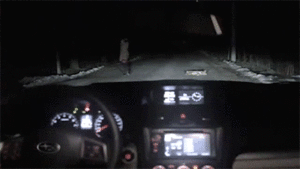 Honden GIF. Dieren Schommel Gifs Hond 