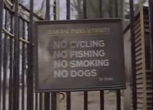 Honden GIF. Dieren Grappig Schattig Gifs Hond Lopend 