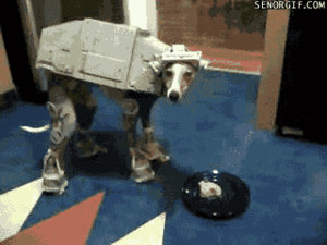 Honden GIF. Dieren Grappig Gifs Hond Mopshond 