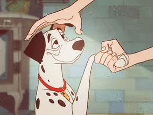 Honden GIF. Dieren Gifs Hond Verdrietig Coulissen Fee 