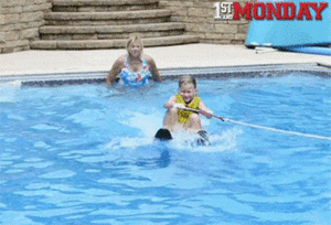 Honden GIF. Dieren Gifs Hond Verdrietig Coulissen Fee 