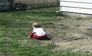 Honden GIF. Dieren Gifs Hond Trampoline 